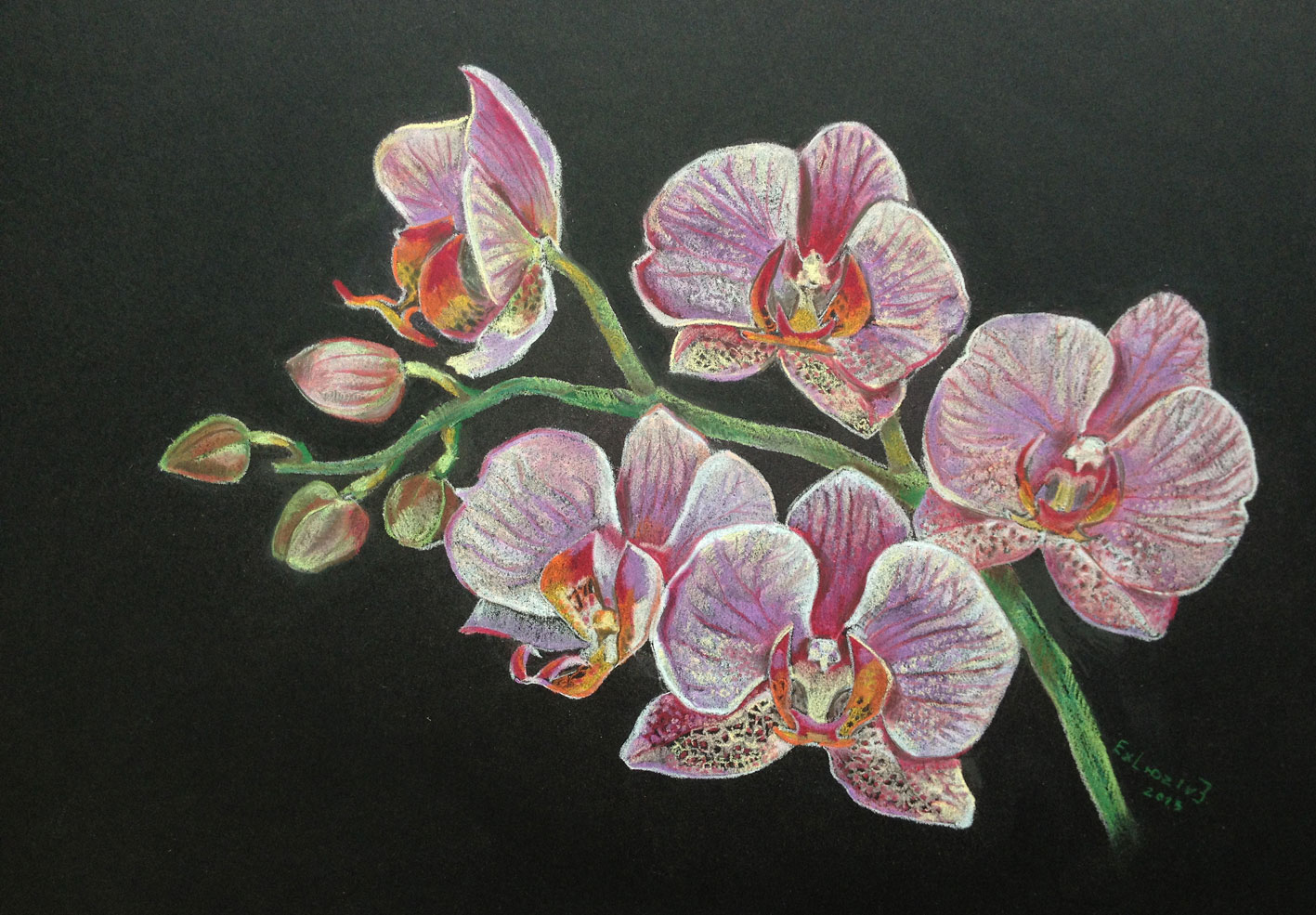 Орхидея масляной пастелью
